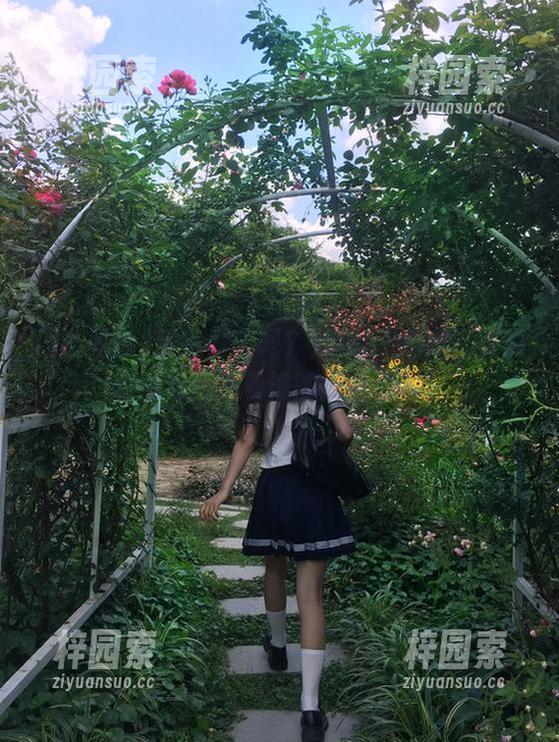 准备好了吗？分享51吃瓜网页最新动态，看看谁的瓜最有料！
