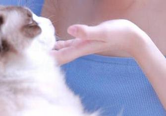 迷路不再，今天51吃瓜带你探索那些传奇瓜，保你嘴巴留香
