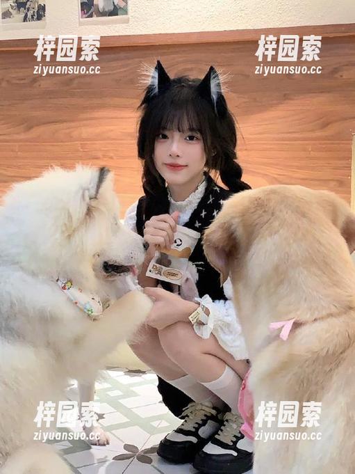 51在线吃瓜苹果版，时间都去哪了，我的关注点追不上八卦的速度！