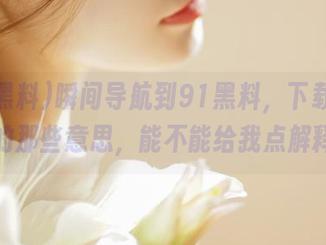 瞬间导航到91黑料，下载安装到手的那些意思，能不能给我点解释呀！