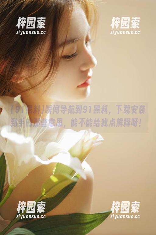 瞬间导航到91黑料，下载安装到手的那些意思，能不能给我点解释呀！