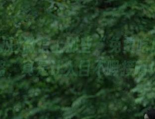 微信上那些“免费吃瓜”的线路，真是让人目不暇接啊！