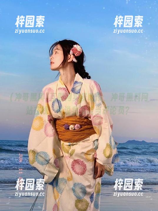 互联网实景吃瓜，冲哥黑料网站在线，谁说我不能当评论员？