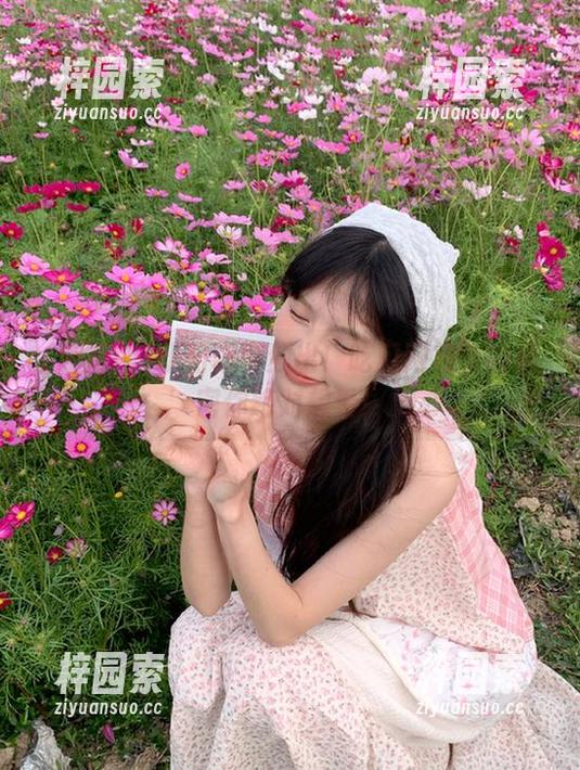 朝阳奇事频出！吃瓜网发布的秘密你绝对想看！