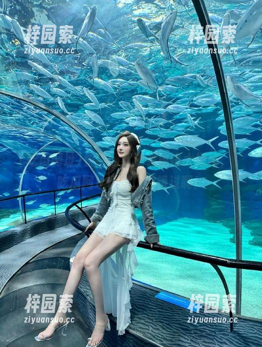 快手网红逆袭秘诀大揭秘，‘吃瓜网址’入口别错过啊！