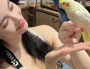 黑料正能量苹果版：每天一首黑料情歌，纯撩不腻！