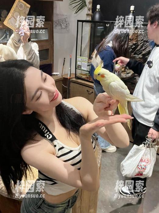 黑料正能量苹果版：每天一首黑料情歌，纯撩不腻！
