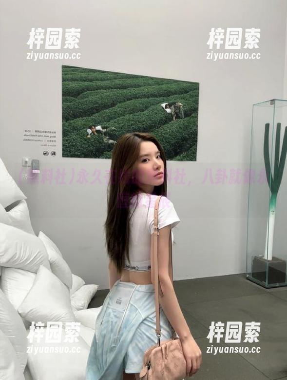 永久在线的黑料社，八卦就像永恒的星辰